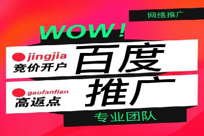 推广竞价策略优化：借鉴经典案例提升效果